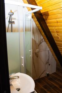 a bathroom with a sink and a glass shower at Cabana Arunia 
