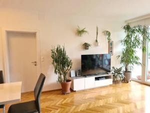 a living room with a flat screen tv and potted plants at Michael's City Retreat in Graz