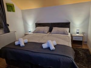 1 dormitorio con 1 cama grande y 2 almohadas en Apartment and rooms Corina en Bilje