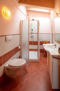 a bathroom with a toilet and a shower and a sink at B&B Casa Agostini in Fai della Paganella