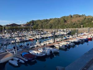 a bunch of boats are docked in a marina at Plentzia Port in Plentzia