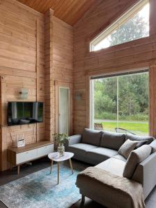 uma sala de estar com um sofá e uma televisão em Holiday Home Amero purnu 1 em Kolinkylä