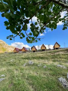 una fila di cottage in un campo erboso di Rural Household MINIĆ - Kapetanovo jezero a Kolašin