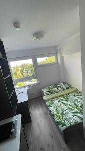 1 dormitorio pequeño con 1 cama y 2 ventanas en Studio 55 en Breslavia