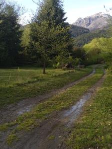 エル・オヨにあるCabaña con Costa de Rioの畑中の未舗装道路