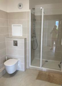 a bathroom with a shower and a toilet and a person at Superb 45 m quiet in Suresnes