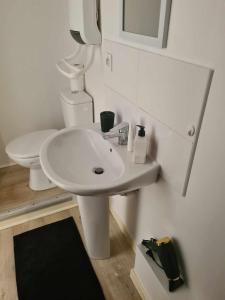 a bathroom with a white sink and a toilet at Studio de la fontaine in Romans-sur-Isère