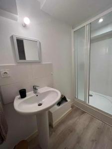 a white bathroom with a sink and a shower at Studio de la fontaine in Romans-sur-Isère