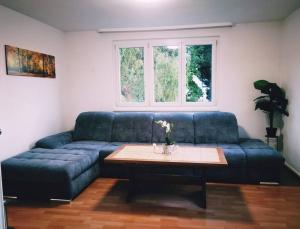 馬林根的住宿－Ferienwohnung Sigmaringen，客厅配有一张蓝色的沙发,配有一张桌子