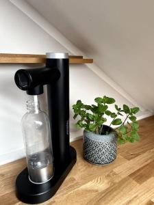 una macchinetta del caffè nera con una bottiglia di vetro accanto a una pianta di Tolles Studio Apartment nähe Leipzig a Wiedemar