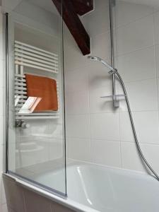 una doccia con porta in vetro in bagno di Tolles Studio Apartment nähe Leipzig a Wiedemar