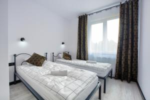 dwa łóżka w pokoju z oknem w obiekcie Apartament Glamour w mieście Ustrzyki Dolne