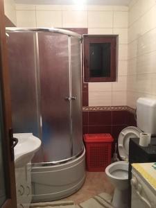 La salle de bains est pourvue d'une douche et de toilettes. dans l'établissement Cozy, peaceful apartment near city center., à Peje