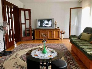 - un salon avec un canapé et une télévision dans l'établissement Cozy, peaceful apartment near city center., à Peje