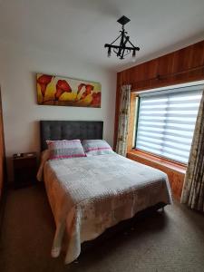 a bedroom with a bed and a window at Habitación con baño privado A in Villarrica