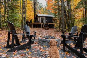 a dog sitting between two chairs and a fire pit at The Doma Lodge - Cozy Muskoka Cabin in the Woods in Huntsville
