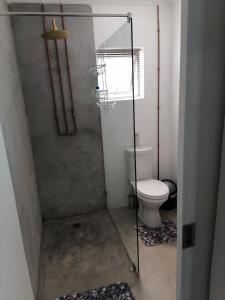 ein Badezimmer mit Dusche und Toilette in der Unterkunft Langbeentjie Inn The Final Chapter in Kapstadt