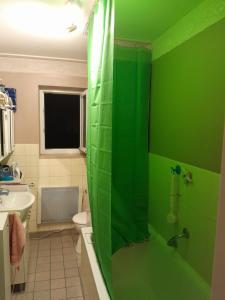 a green bathroom with a sink and a shower at VILLA AHNENERBE in Munich