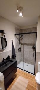 a bathroom with a sink and a glass shower at Au pied du mur in Huy