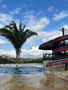 a palm tree and a swimming pool with a palm tree at Apbananeiras - Condomínio Sonhos da Serra in Bananeiras