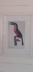 una imagen de un pájaro en un marco de imagen en Miralrio en Santa Rosa de Calamuchita