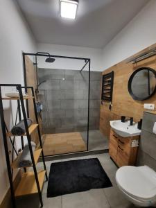 a bathroom with a shower and a toilet and a sink at Aparthouse Zegrze in Serock