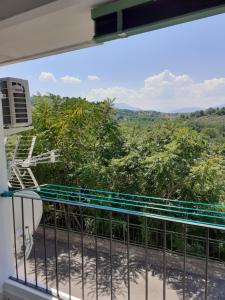 einen Balkon mit Blick auf den Dschungel in der Unterkunft B&B La Zia - Manoppello in Manoppello