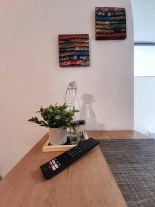a remote control sitting on a table with a potted plant at Miraflores Beautiful Studio! in Lima