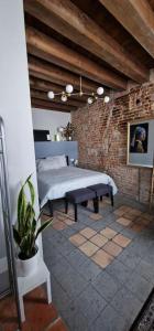 a bedroom with a bed and a potted plant at Storico alloggio fronte piazza in Borgo Portello in Padova