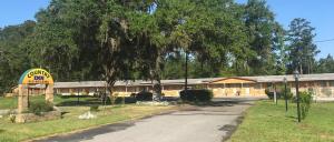 un edificio con un gran árbol junto a una carretera en Country Inn LLC, en Townsend
