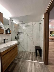 uma casa de banho com um chuveiro e um lavatório branco em Apartment Dimitris em Atenas