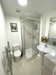 a bathroom with a shower and a toilet and a sink at Redhill Town Centre Garden Flat in Redhill