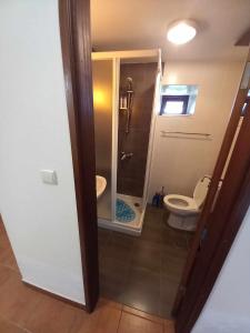 een badkamer met een douche en een toilet. bij SERRADO Da EIRA in Lajes das Flores