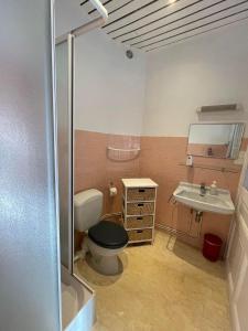 ein Bad mit einem WC und einem Waschbecken in der Unterkunft Authentic by Balladins, Le Carré d'Aix in Aix-les-Bains