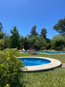 una pequeña piscina en el césped en un parque en don isidro cabaña alta en La Paz