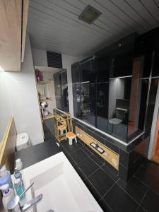 La salle de bains est pourvue d'un lavabo et d'un grand miroir. dans l'établissement Lusso Apartment, à Skopje
