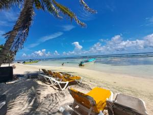 una spiaggia con sedie e una barca in acqua di Hidden Jems Mahahual Hotel & Hostel a Mahahual