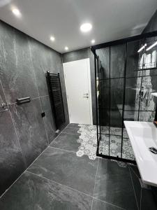 y baño con ducha, lavabo y aseo. en No1 Lux apartment in heart of Sarajevo, en Sarajevo