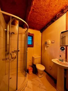 a bathroom with a shower and a toilet and a sink at Ruta 7 Coffee & Lodging in Villa Maniguales
