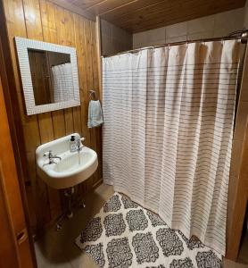 a bathroom with a sink and a shower curtain at Athens and Albany's Hillside Haven in Albany