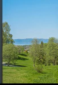 a field of green grass with trees and a river at Rekkehus i Trondheim, gratis parkering in Trondheim