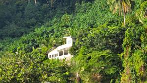 une maison arborée sur le flanc d'une colline dans l'établissement Vaiterupe Sweet Home, à Orufara