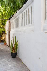 eine weiße Wand mit einer Topfpflanze daneben. in der Unterkunft Perfect Apartment Jaffa Beach in Tel Aviv