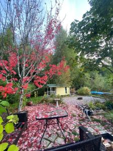 una mesa de picnic en un jardín con hojas rojas en el suelo en Beaver Lake Resort Site #36 en Lake Cowichan
