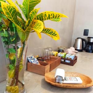 a vase with a plant and a remote control on a counter at XIQUE XIQUE ITAUNAS HOSPEDARIA in Itaúnas