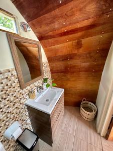 uma casa de banho com um lavatório e uma parede de madeira em GLAMPING TONELES Y VIÑEDOS em San Juan Bautista