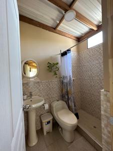 ein Bad mit einem WC und einem Waschbecken in der Unterkunft GLAMPING TONELES Y VIÑEDOS in San Juan Bautista