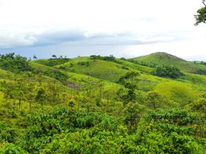 Gallery image of Winter Woods in Vagamon +26 photos