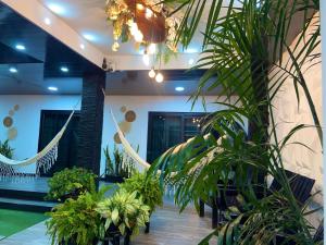 a lobby with a bunch of plants and hammocks at Casa en San Clemente con piscina in San Clemente