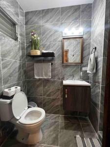 La salle de bains est pourvue de toilettes et d'un lavabo. dans l'établissement Apartamento en el Corazón de Boquete, à Boquete